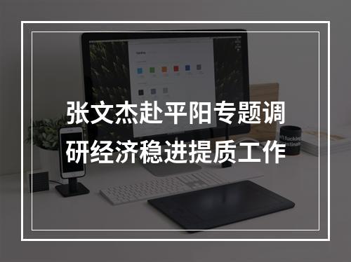 张文杰赴平阳专题调研经济稳进提质工作