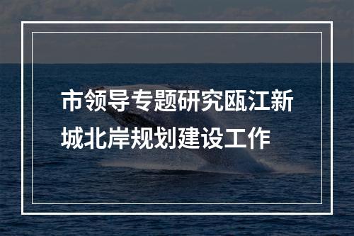 市领导专题研究瓯江新城北岸规划建设工作