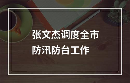 张文杰调度全市防汛防台工作