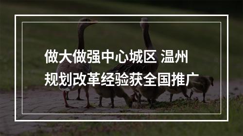 做大做强中心城区 温州规划改革经验获全国推广