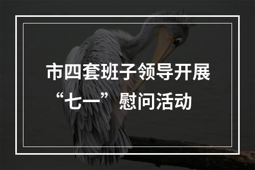 市四套班子领导开展“七一”慰问活动