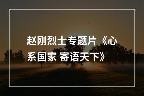 赵刚烈士专题片《心系国家 寄语天下》