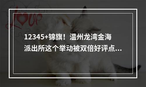 12345+锦旗！温州龙湾金海派出所这个举动被双倍好评点赞