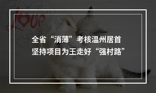 全省“消薄”考核温州居首 坚持项目为王走好“强村路”