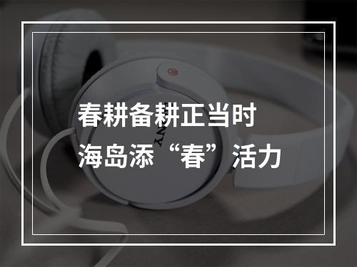 春耕备耕正当时  海岛添“春”活力