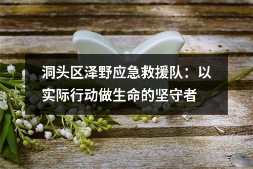 洞头区泽野应急救援队：以实际行动做生命的坚守者