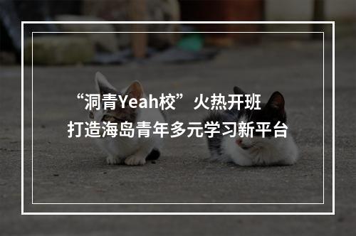 “洞青Yeah校”火热开班 打造海岛青年多元学习新平台