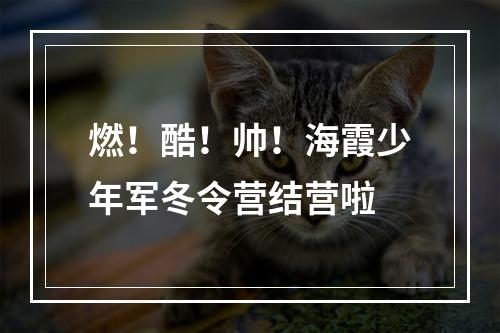 燃！酷！帅！海霞少年军冬令营结营啦