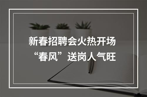 新春招聘会火热开场 “春风”送岗人气旺