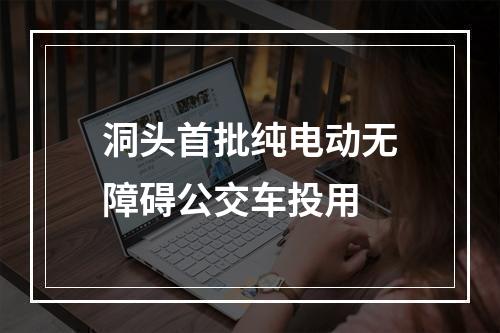 洞头首批纯电动无障碍公交车投用