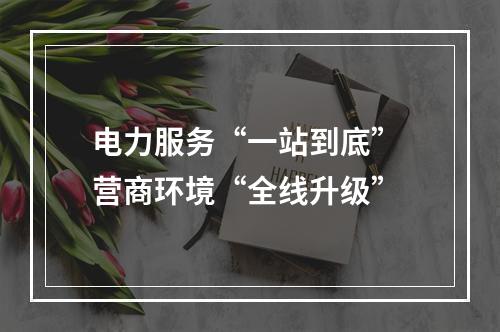 电力服务“一站到底” 营商环境“全线升级”