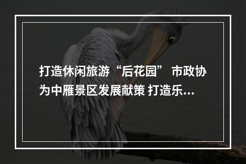 打造休闲旅游“后花园” 市政协为中雁景区发展献策 打造乐清文旅新名片