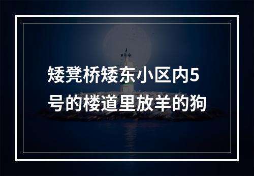 矮凳桥矮东小区内5号的楼道里放羊的狗