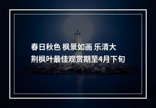 春日秋色 枫景如画 乐清大荆枫叶最佳观赏期至4月下旬