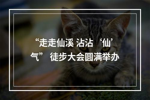 “走走仙溪 沾沾‘仙’气” 徒步大会圆满举办