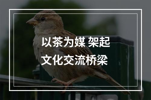 以茶为媒 架起文化交流桥梁