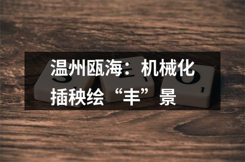 温州瓯海：机械化插秧绘“丰”景