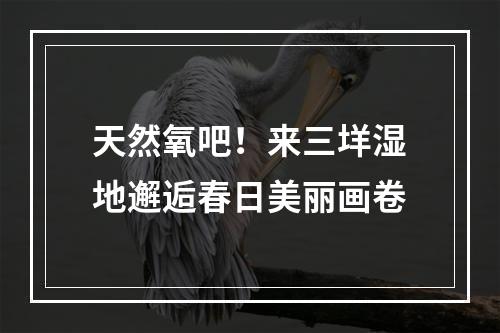 天然氧吧！来三垟湿地邂逅春日美丽画卷