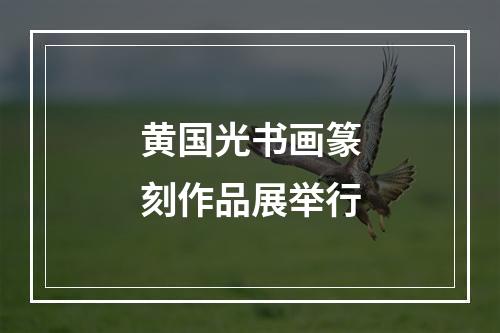 黄国光书画篆刻作品展举行