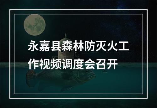 永嘉县森林防灭火工作视频调度会召开