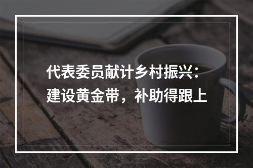 代表委员献计乡村振兴：建设黄金带，补助得跟上