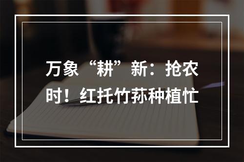 万象“耕”新：抢农时！红托竹荪种植忙