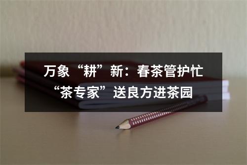 万象“耕”新：春茶管护忙 “茶专家”送良方进茶园