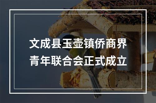文成县玉壶镇侨商界青年联合会正式成立
