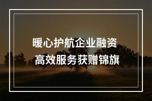 暖心护航企业融资  高效服务获赠锦旗