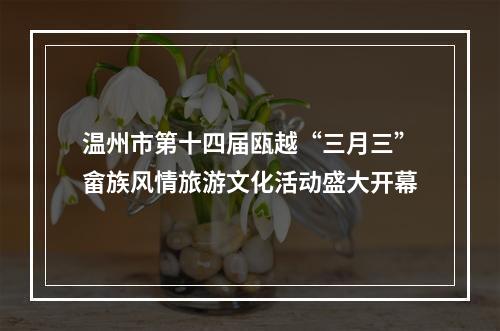 温州市第十四届瓯越“三月三”畲族风情旅游文化活动盛大开幕