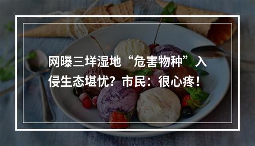 网曝三垟湿地“危害物种”入侵生态堪忧？市民：很心疼！