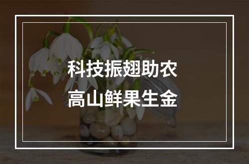 科技振翅助农 高山鲜果生金