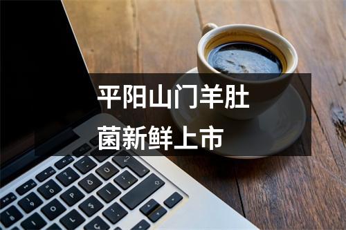 平阳山门羊肚菌新鲜上市