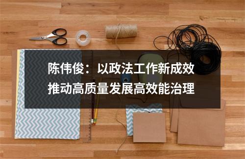 陈伟俊：以政法工作新成效 推动高质量发展高效能治理
