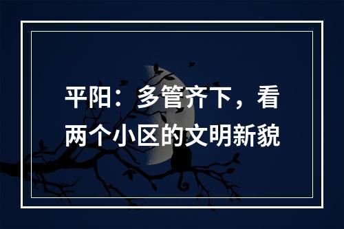 平阳：多管齐下，看两个小区的文明新貌