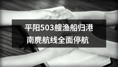 平阳503艘渔船归港 南麂航线全面停航