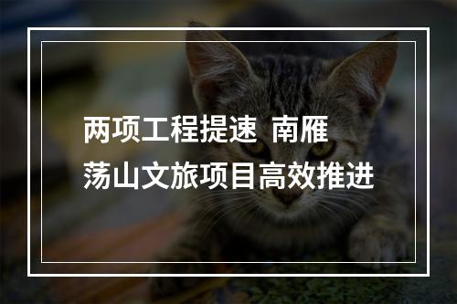 两项工程提速  南雁荡山文旅项目高效推进