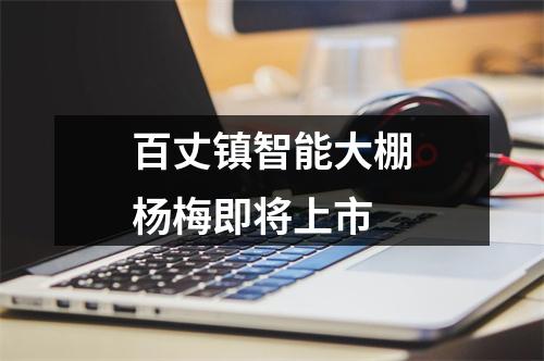 百丈镇智能大棚杨梅即将上市
