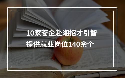 10家苍企赴湘招才引智 提供就业岗位140余个