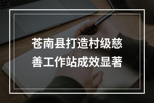 苍南县打造村级慈善工作站成效显著