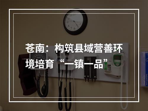 苍南：构筑县域营善环境培育“一镇一品”