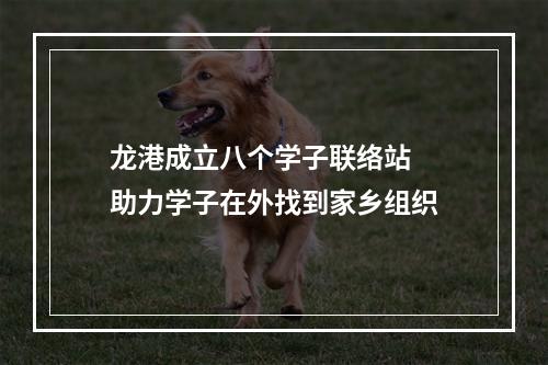 龙港成立八个学子联络站  助力学子在外找到家乡组织