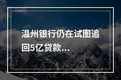 温州银行仍在试图追回5亿贷款...