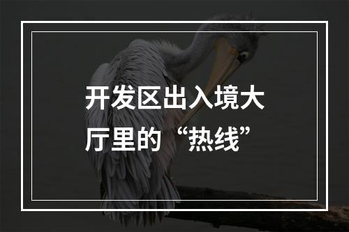 开发区出入境大厅里的“热线”