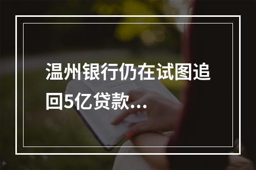 温州银行仍在试图追回5亿贷款...