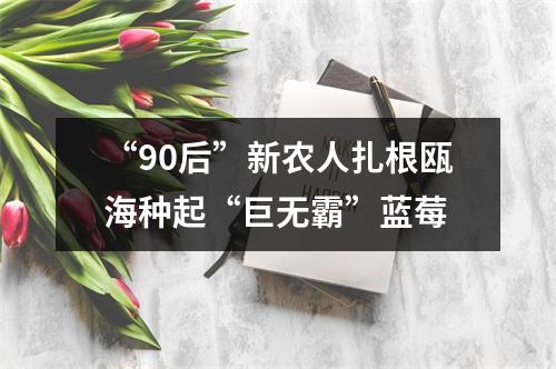 “90后”新农人扎根瓯海种起“巨无霸”蓝莓