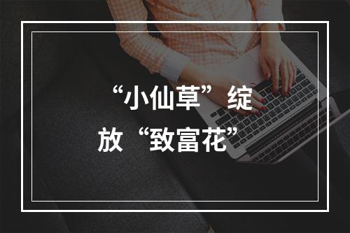 “小仙草”绽放“致富花”