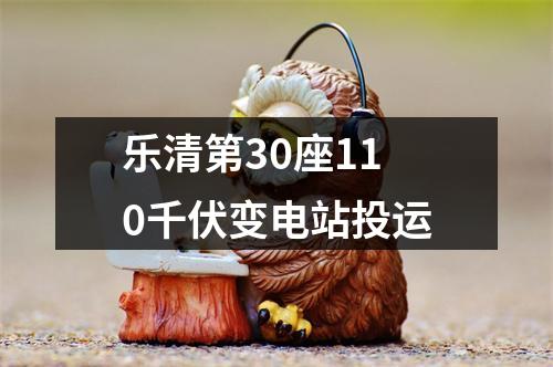 乐清第30座110千伏变电站投运