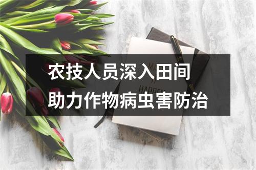 农技人员深入田间 助力作物病虫害防治