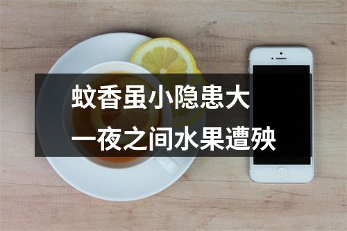 蚊香虽小隐患大 一夜之间水果遭殃